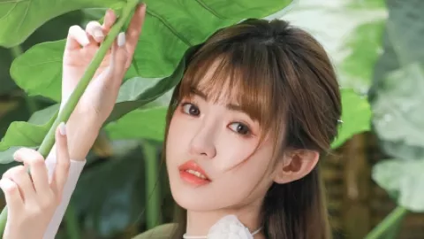 中国核聚变2030发电