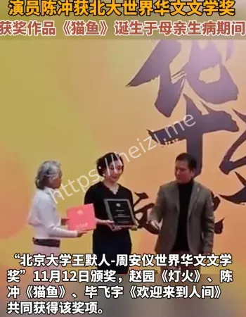 世界华文文学奖